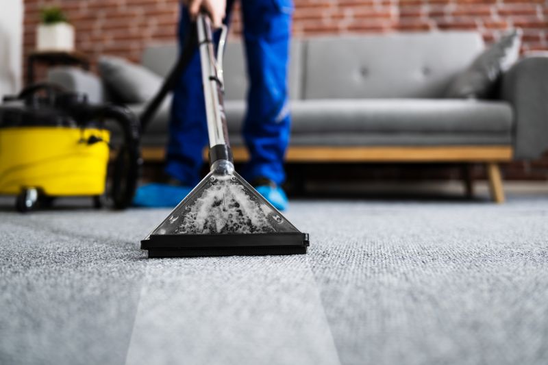 Residential Carpet Cleaning Experts